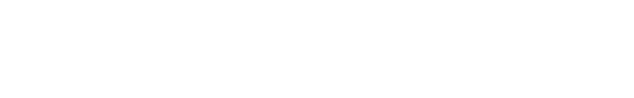 Nasatronic logo